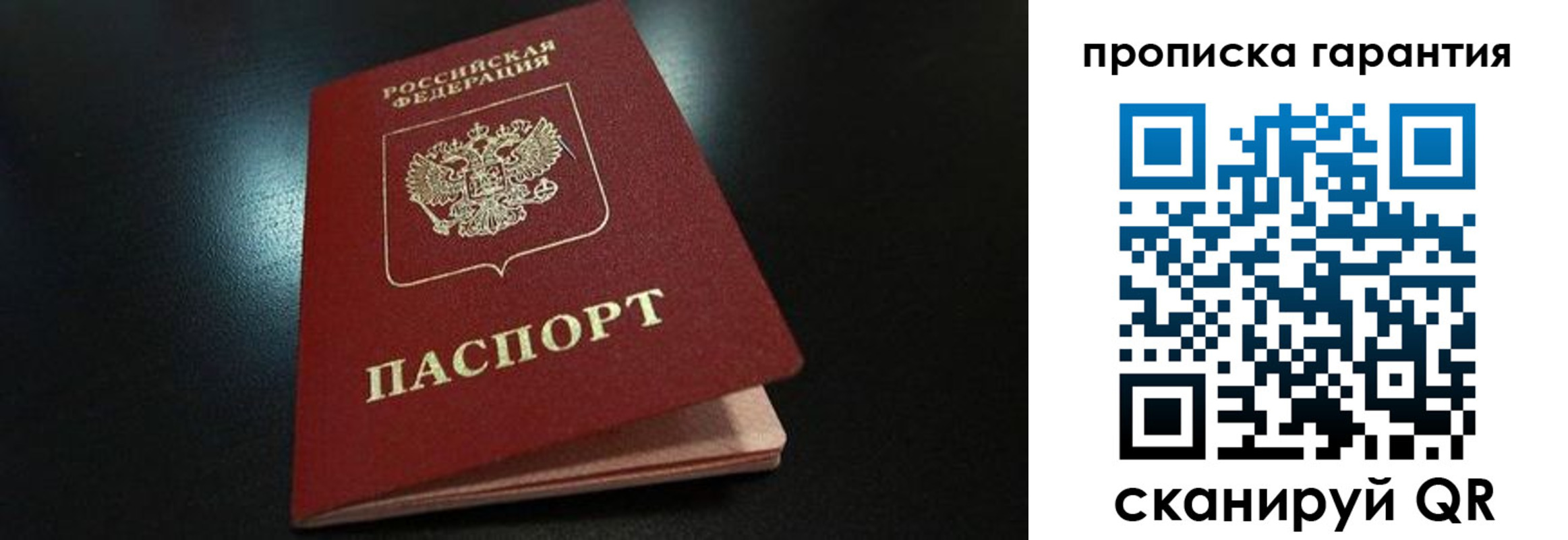 прописка поиск в Нижнекамске